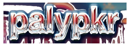 palypkr logo